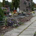 141028-cvdh-kerkhof  2 